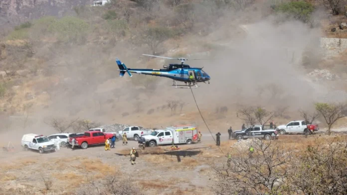 Encuentran bolsas con restos humanos en Zapopan, Jalisco Yucatán Al Momento