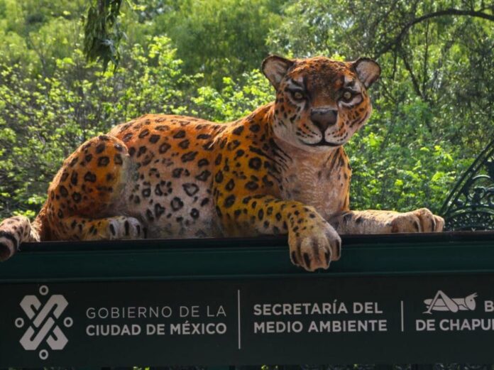 Zoológico de Chapultepec cumple 100 años Yucatán Al Momento
