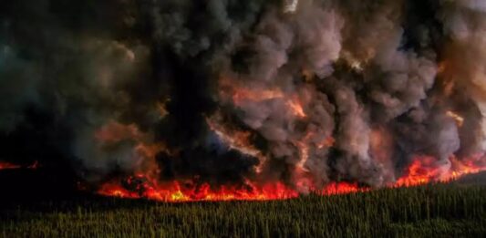 canada-ola-de-incendios-forestales-yucatan-al-momento
