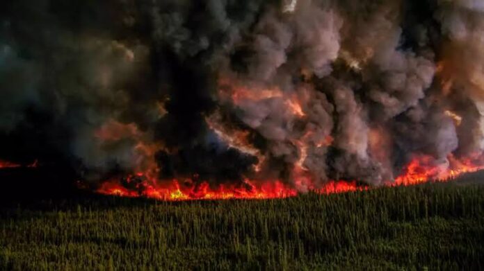 canada-ola-de-incendios-forestales-yucatan-al-momento